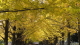 img0020.jpg