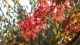 img0024.jpg