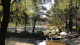 img0026.jpg