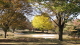 img0031.jpg