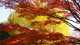 img0033.jpg