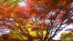 img0040.jpg