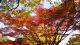 img0041.jpg