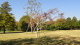 img0044.jpg