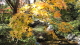 img0049.jpg
