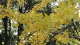img0081.jpg
