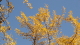 img0084.jpg