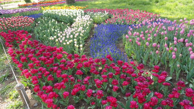 img0005.jpg