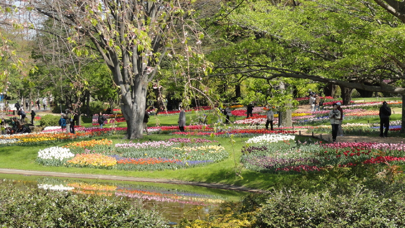 img0009.jpg