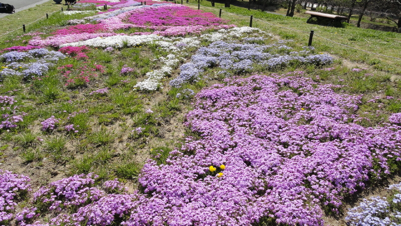 img0011.jpg