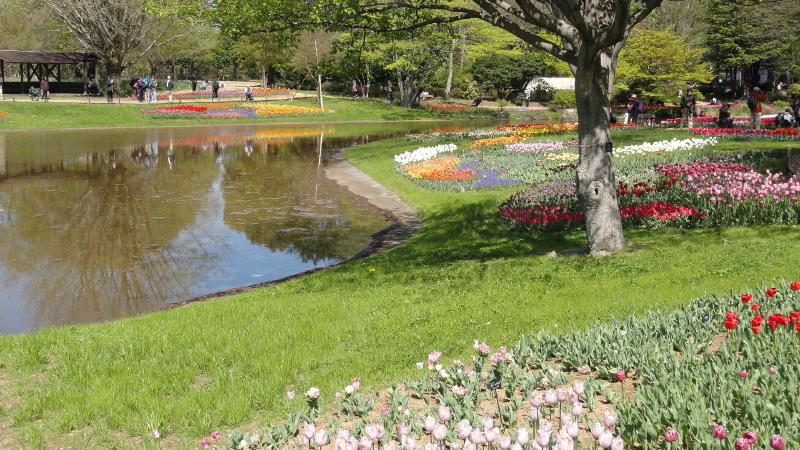 img0015.jpg