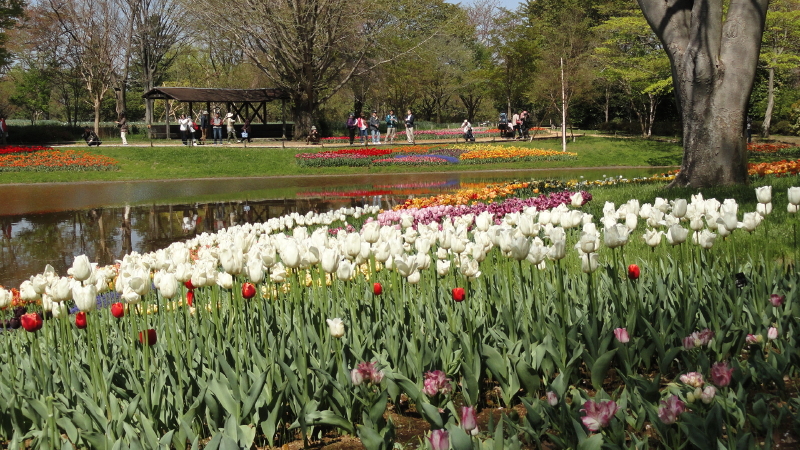 img0017.jpg