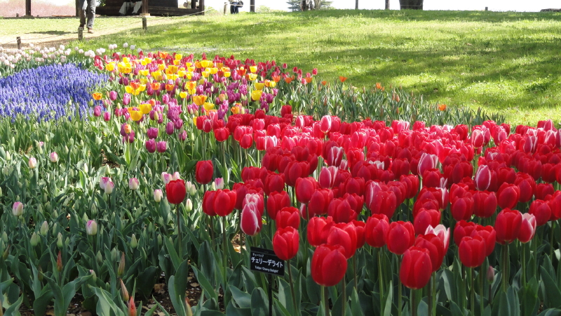 img0019.jpg