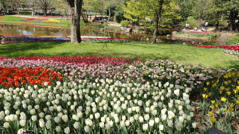 img0022.jpg