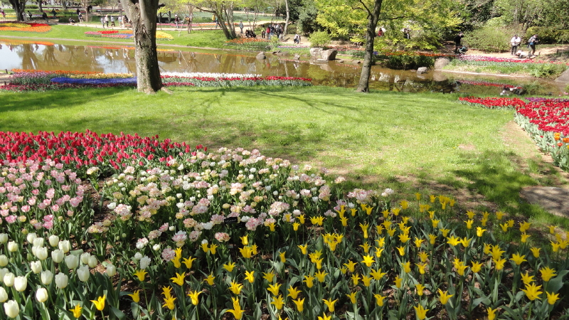 img0024.jpg