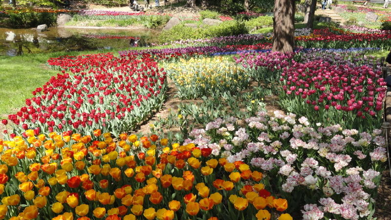 img0025.jpg