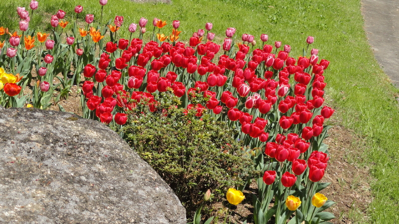 img0033.jpg