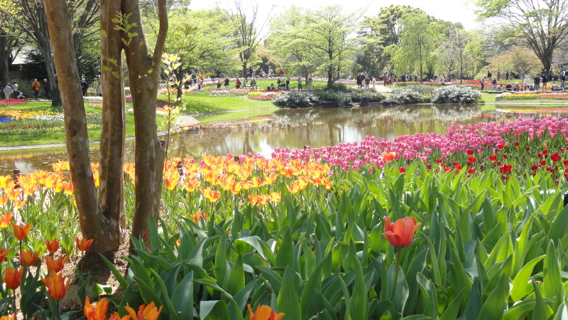 img0046.jpg