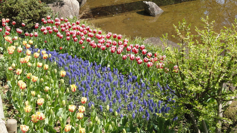 img0047.jpg