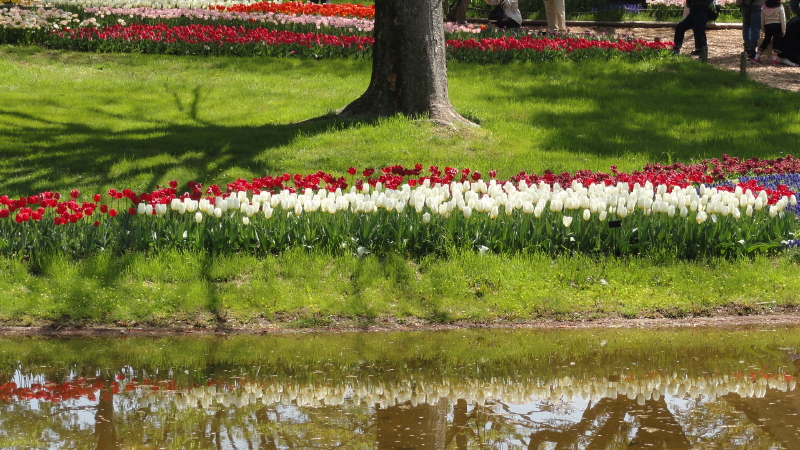 img0048.jpg