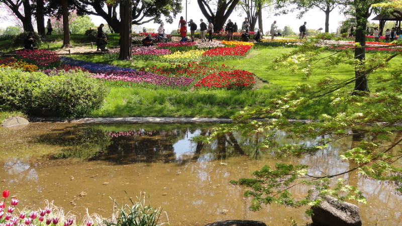 img0049.jpg