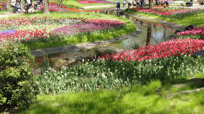 img0052.jpg