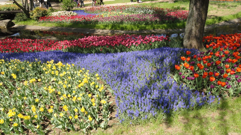 img0053.jpg
