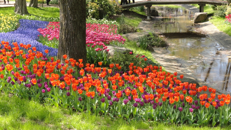 img0054.jpg