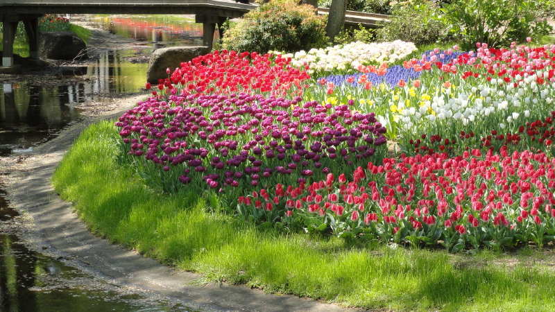 img0056.jpg