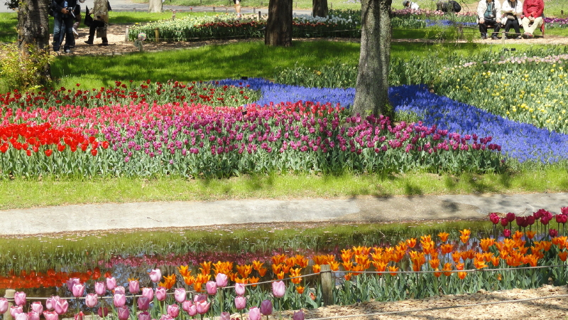 img0057.jpg