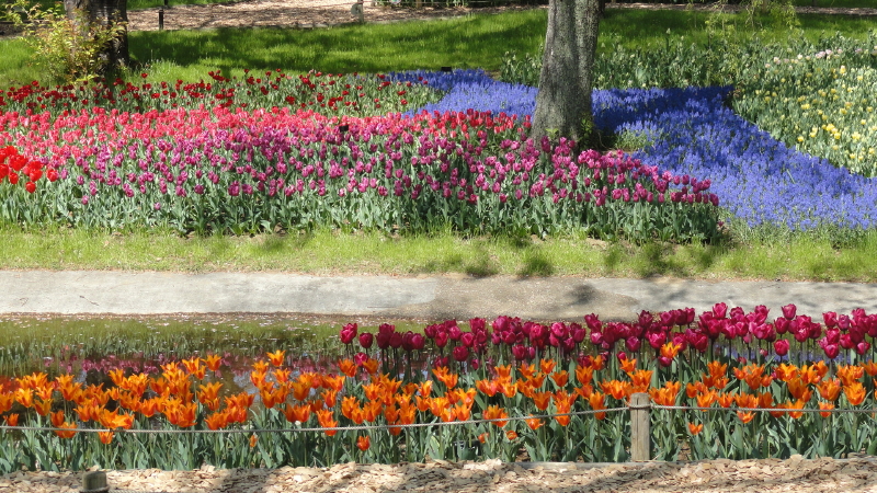 img0058.jpg