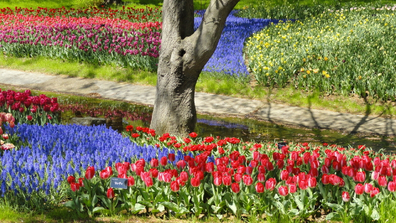 img0059.jpg