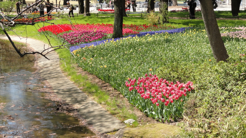img0060.jpg