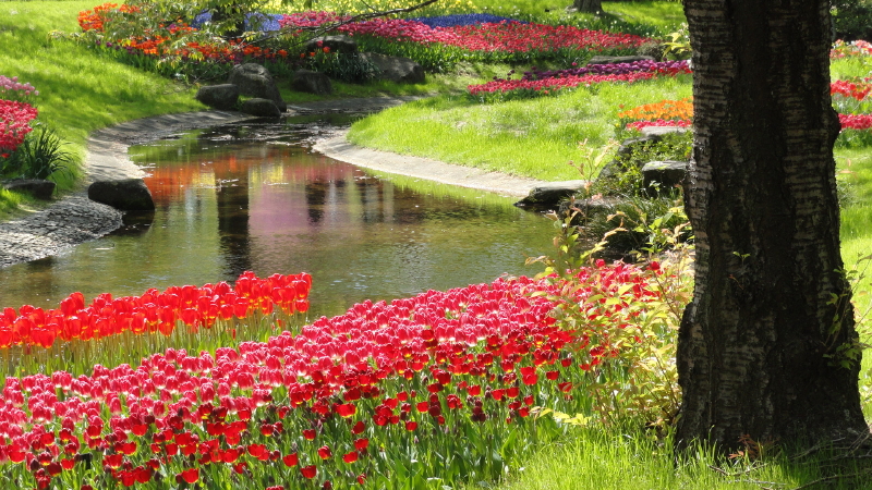 img0065.jpg