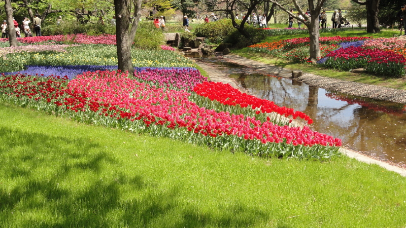 img0068.jpg