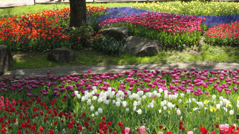 img0069.jpg