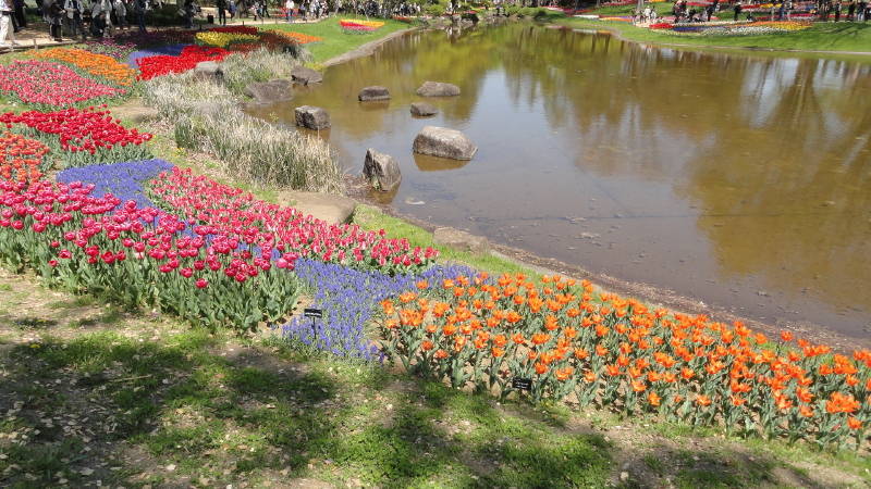 img0078.jpg