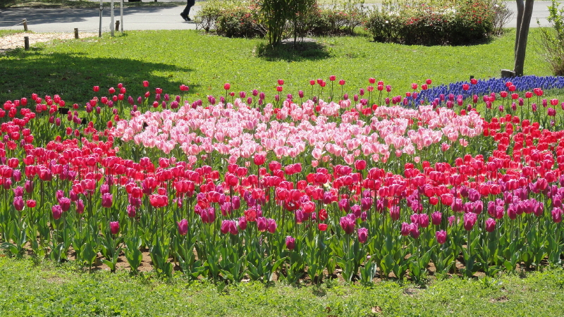 img0083.jpg