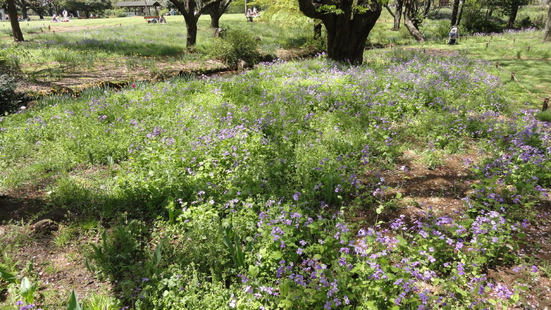 img0085.jpg