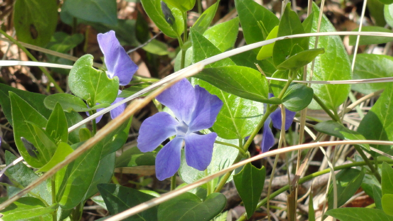 img0088.jpg