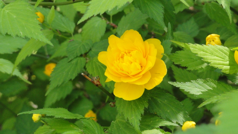 img0089.jpg