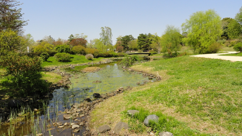 img0092.jpg