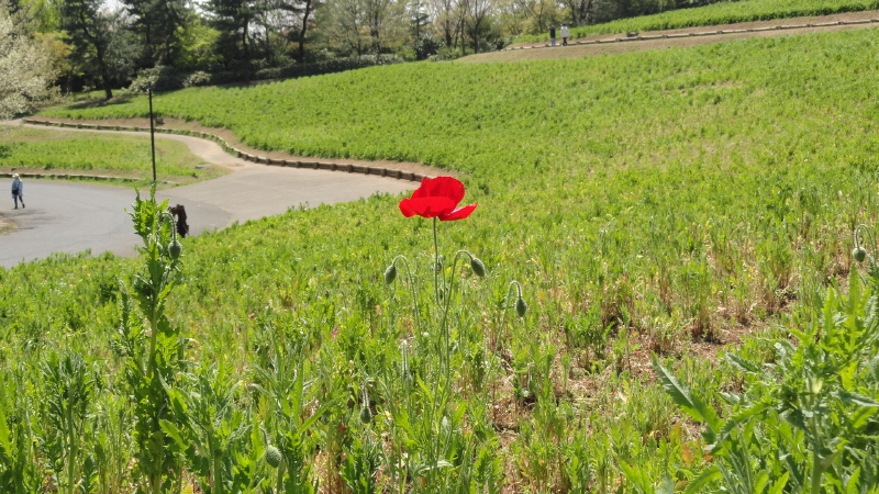 img0093.jpg