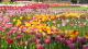 img0001.jpg