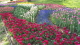 img0005.jpg