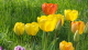 img0007.jpg