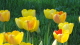 img0008.jpg