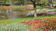 img0014.jpg
