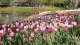 img0016.jpg