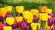 img0020.jpg